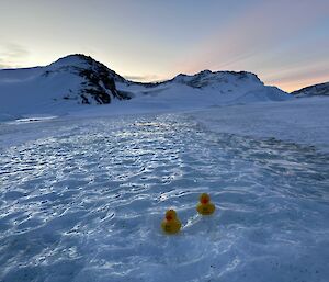 Yellow plastic ducks on a snowy slope