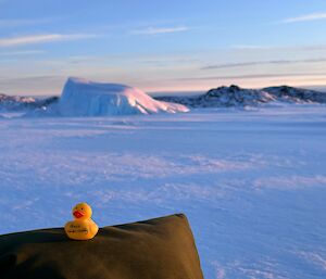 a yellow plastic duck on a rock in front of an icy landscape