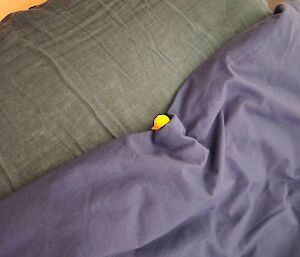 A yellow plastic duck tucked up in bed