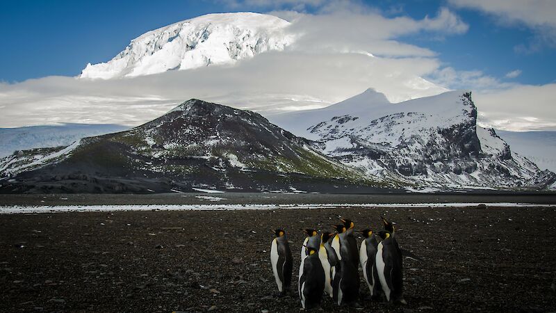 Three mountain peaks with snow around one and penguins in the foreground