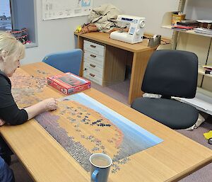 An expeditioner doing a jigsaw puzzle in the library at Mawson