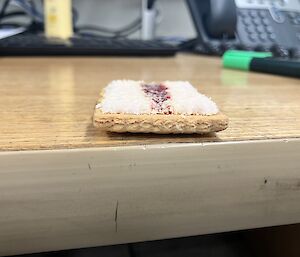 Iced VoVo biscuit on a table, end-on showing flat marshmallow and jam on a brown biscuit base in the Mess at Mawson station recently