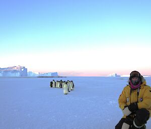 Peter Caithness kneels at the front right of the photo on the blue sea-ice. A group of emperor penguins huddles in the center of the photo. In the distance is the large huddle of penguins with eggs beside tall icebergs.