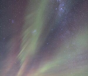 Davis Aurora