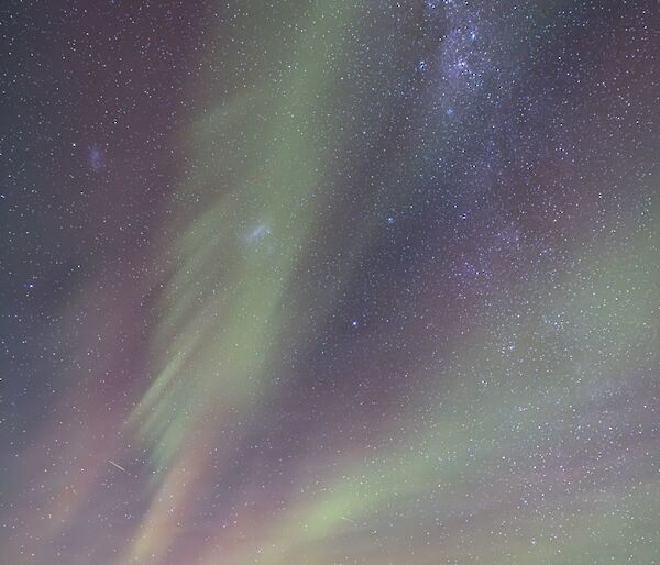 Davis Aurora