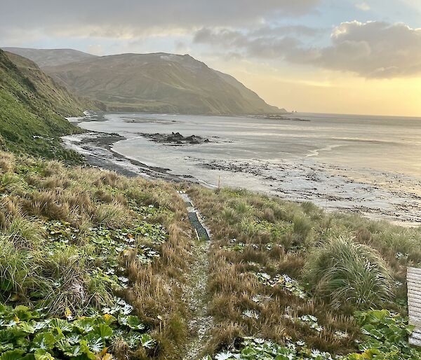 Foreground - low foliage dusted with snow, distance - coast line with mountains rising up from the sea. All captured in a golden light.