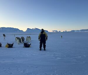Auster emperor penguin colony on the sea ice near Mawson station