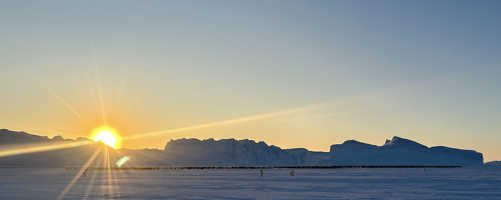 Auster emperor colony, a thin line in front of a line of icebergs