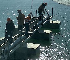 A group stand on a pontoon looking into the water