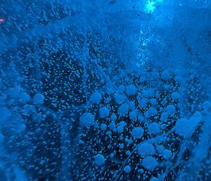 Bubbles in a frozen lake illuminated by a light