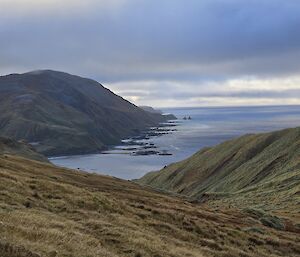 Looking down from height along the east coast of Macquarie Island