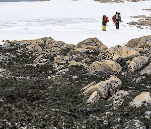 Two people standing on snow near a rocky outcrop covered in black and dark green lichen