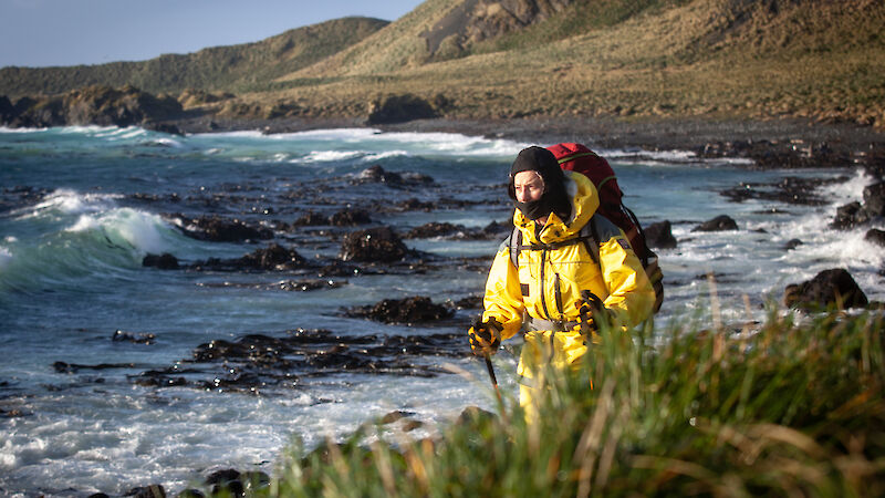 A woman in yellow expeditioner gear walks with walking poles along a rocky beach