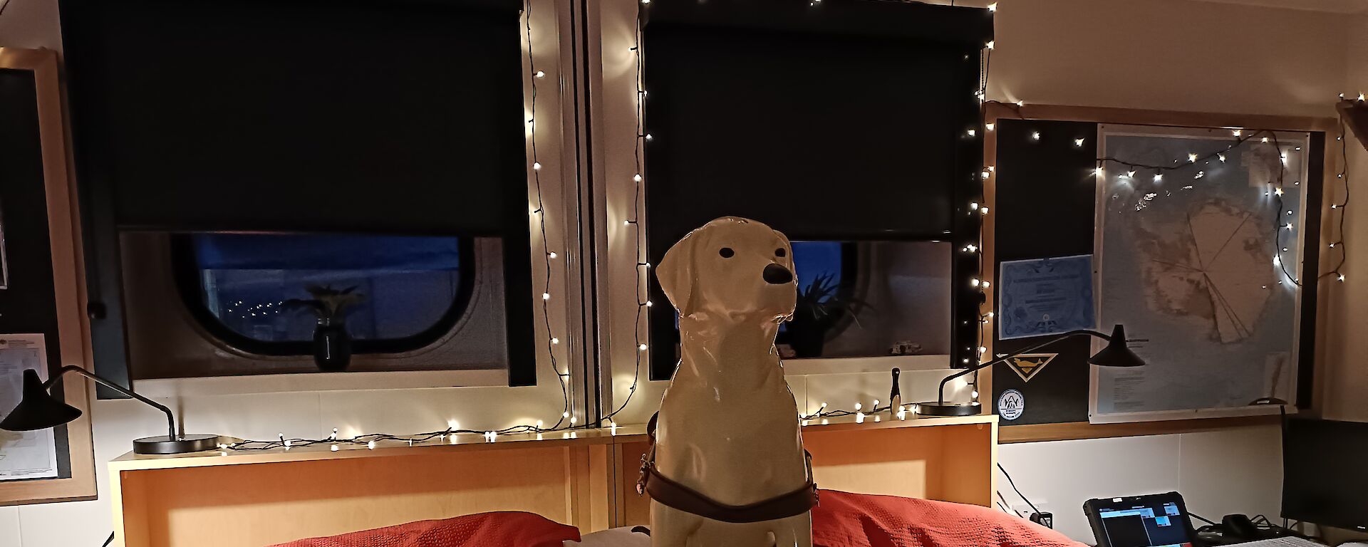Stay 2.0 on the station leaders bed in the Red shed at Mawson station recently