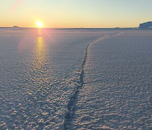 A view of the sun rising in the east with the sea-ice in the foreground