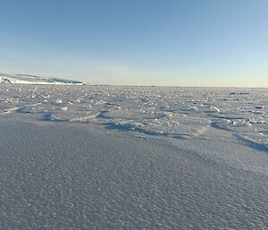 Sea-ice that is still recognisably pancake shaped but a meter thick.