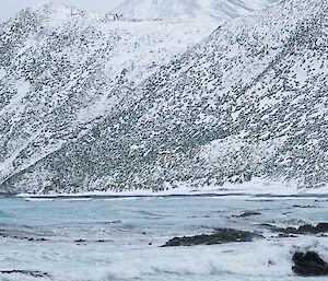 Penguin on snow covered beach in foreground, sea and snow covered mountain in distance