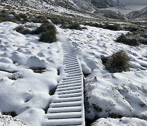 Board walk stretching off into the distance which is covered by snow with no footprints