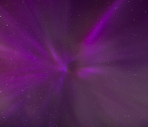 A radiating purple aurora with stars shining through above Mawson