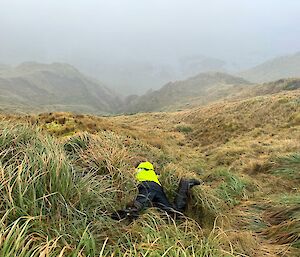 A person falls flat on a misty brown grass landscape