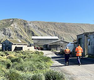 Two people walking along a road towards buildings on Macquarie Island