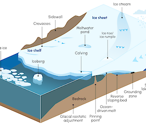 A diagram showing different physical processes that can affect the Antarctic Ice Sheet as it moves from elevation to sea level.