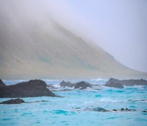 Gentoo penguin stands on the shore of a bay, the water is bright blue, in the distance is a mountain with its steep sides dropping down to the sea, with a shroud of mist over its peak