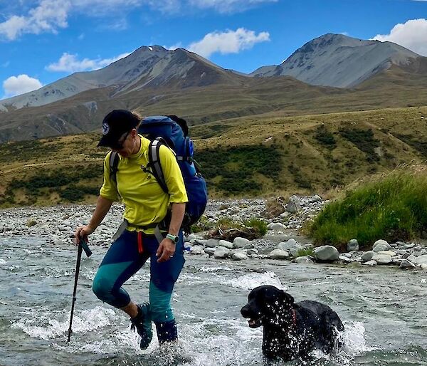 Billy travels over a shallow water creek with her dog Tui by her side. Large green mountainous landscape of New Zealand in the background