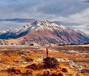 a very wide landscape in which Billy stands in an open plain leading into very large snow dusted mountains