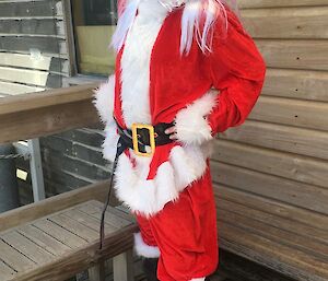 A photo of Billy dressed as Santa during her trip to Macquarie Island, sub-Antarctic land