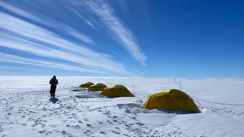 Four yellow tents in snow under a blue sky