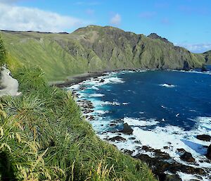 Blue water bay surrounded by steep green hills, with albatross chick on next in left foreground