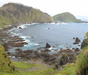 Overlooking bay from height, green steep hill slopes drop down to water, on slopes to right is a group of sooty albatross on nests