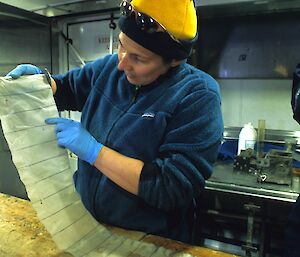 A woman examines a silk sheet for captured zooplankton