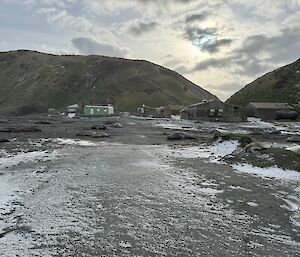 A brown muddy road with elephant seals lying all over it