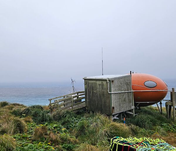 The Brother's Point Hut, a smarty hut with wooden vestibule attached. Situated on grassy slope overlooking bay.
