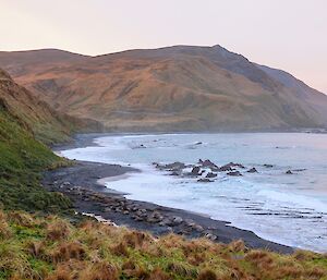 East coast bay with mountainous coastline at sunset making a pink tinged light
