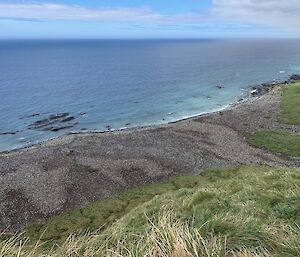 Looking down onto a grey stoney beach covered with a king penguin colony