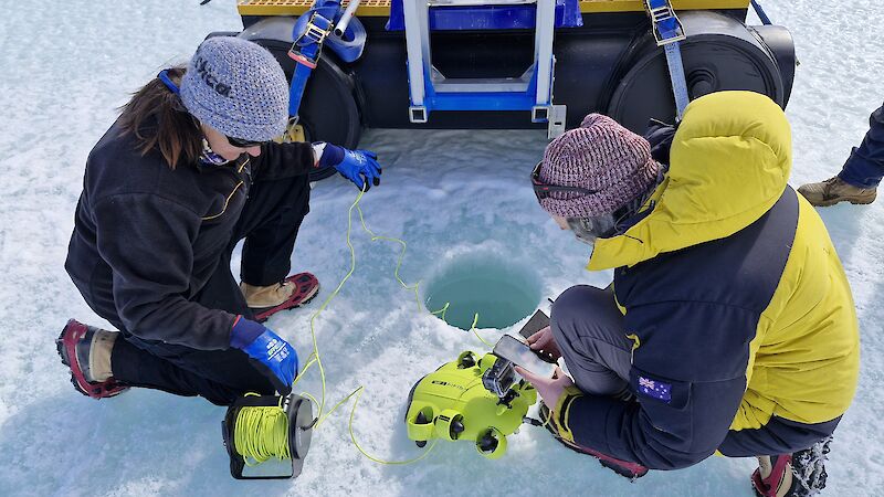 Two people preparing a small, lime green underwater vehicle for deployment through a small, circular hole in sea ice.