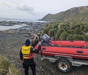 An elephant seal looks on at a person unloading an inflatable rubber boat near the shoreline.