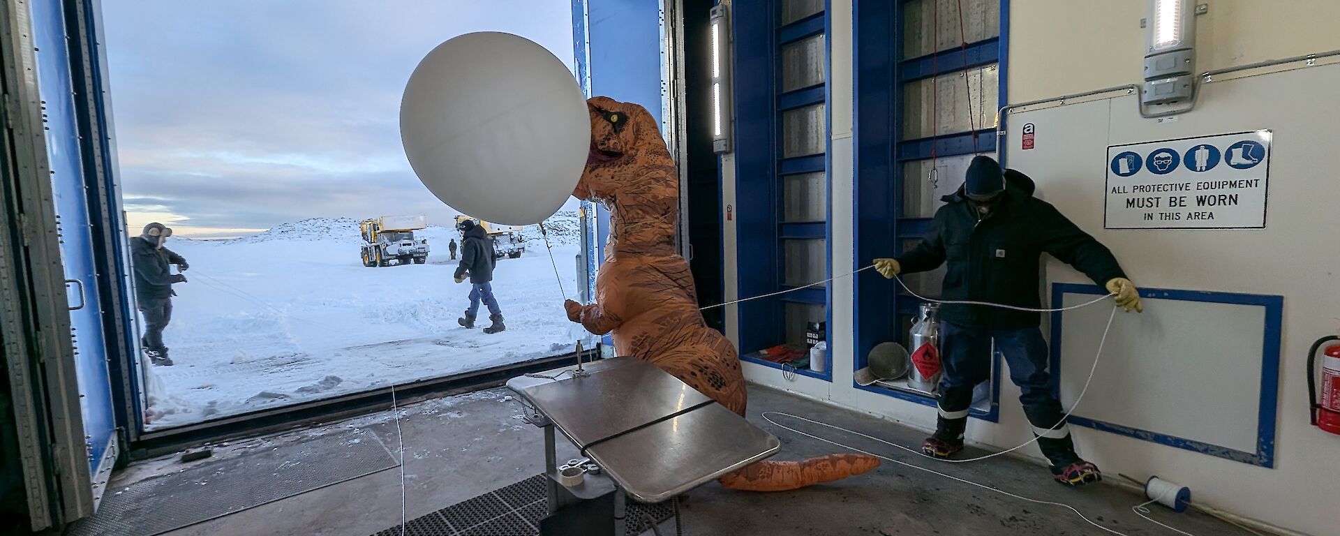 The dinosaur actor leaves the balloon launch building acting out a balloon launch