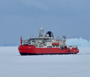 RSV Nuyina parked in the Sea Ice outside Davis Station
