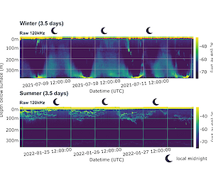Coloured graphics showing the movement of krill across different ocean depths