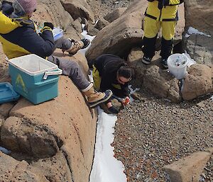 Cath is kneeling down, taking a sample of orange lichen in a narrow rocky gully. Kathryn is standing to the right taking notes, and Gwil is sitting on a rock to the left preparing a container for the sample