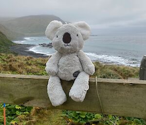 Koala toy sits on verandah railing with view of coastline behind