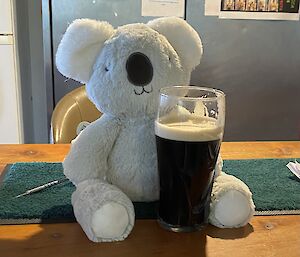 Koala toy sits on bar, holding a glass of Guinness
