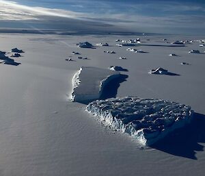 sea ice to the horizon with icebergs