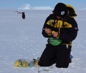 A woman kneels on ice and marks a yellow-topped plastic container with a black pen. There are penguins in the background.