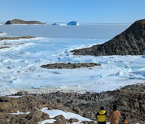 Two people look down over a penguin colony sited on rocks below, with sea ice beyond