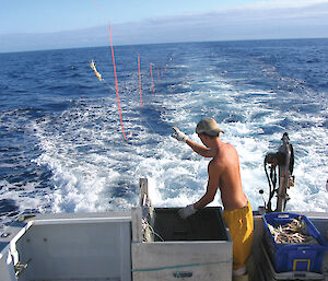 A man throws baited hooks over the stern of a fishing boat